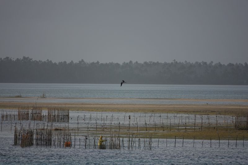 Viewing photos→2018→2018-09-03-1→10