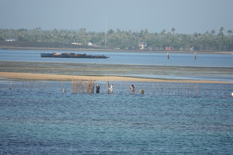 Viewing photos→2018→2018-09-03-1→12