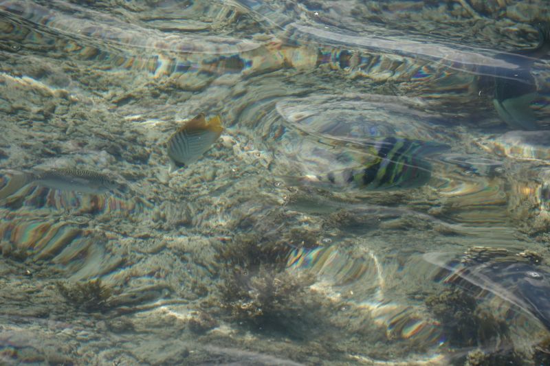 Viewing photos→2018→2018-09-03-1→22