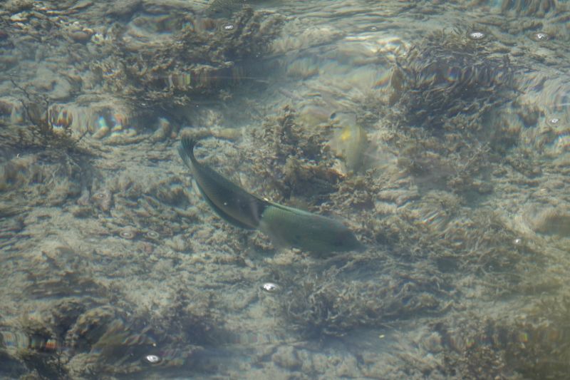 Viewing photos→2018→2018-09-03-1→23