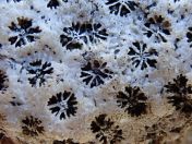 27.jpg - 2018:09:07 21:55:27