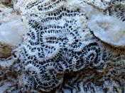 28.jpg - 2018:09:07 21:58:19