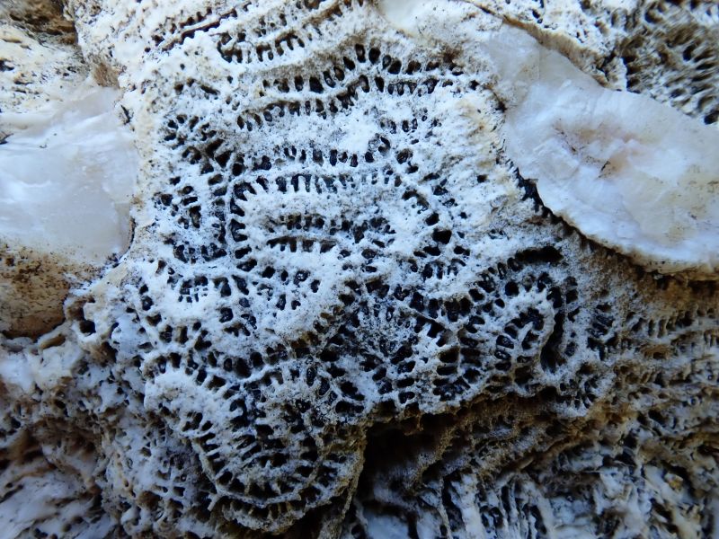 Viewing photos→2018→2018-09-03-1→28