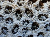 29.jpg - 2018:09:07 22:00:42