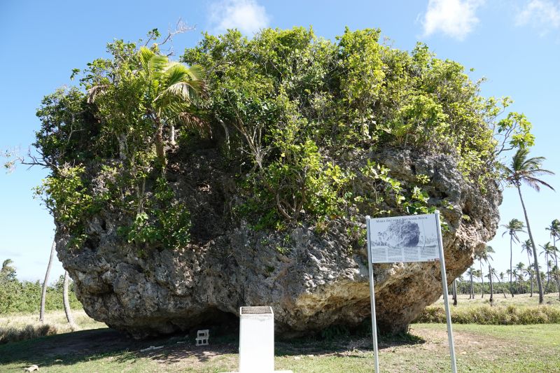 Viewing photos→2018→2018-09-03-1→32