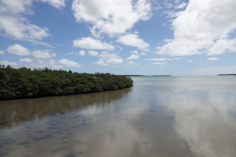 Viewing photos→2018→2018-09-03-1→47