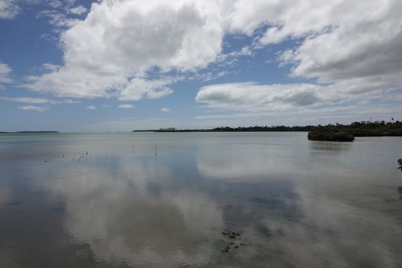 Viewing photos→2018→2018-09-03-1→48