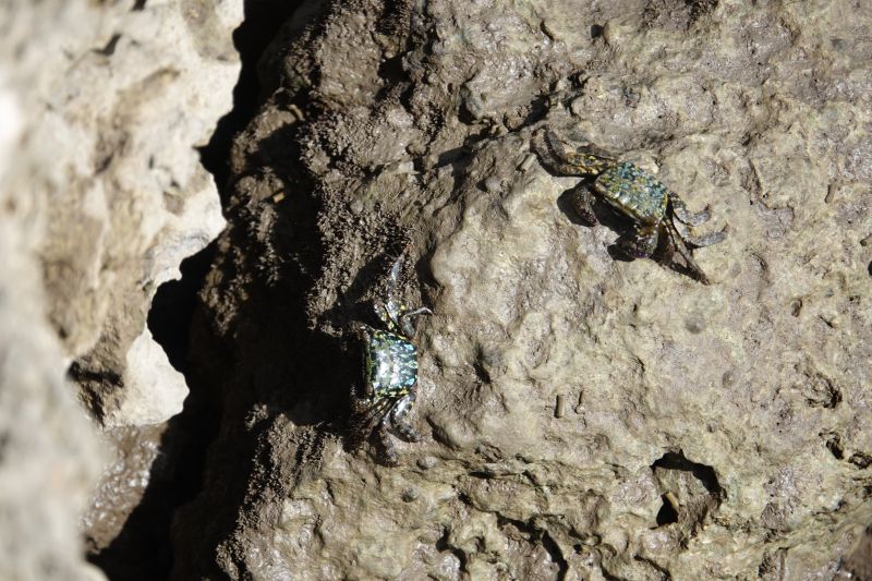 Viewing photos→2018→2018-09-03-1→50