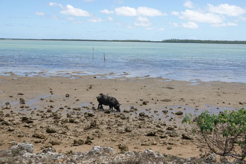 Viewing photos→2018→2018-09-03-1→53