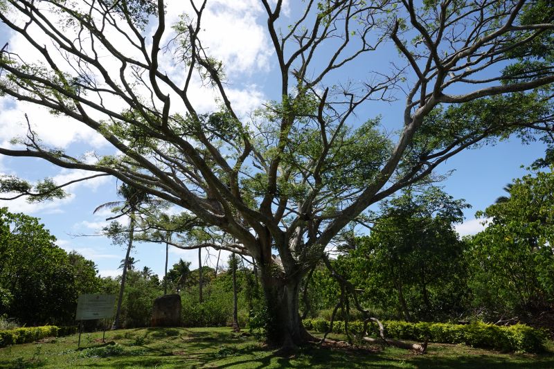 Viewing photos→2018→2018-09-03-1→62