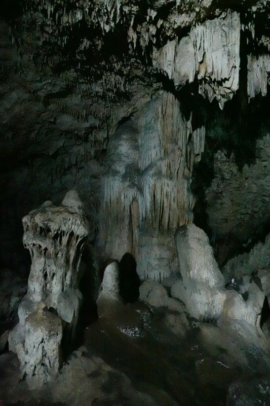 Viewing photos→2018→2018-09-03-1→67