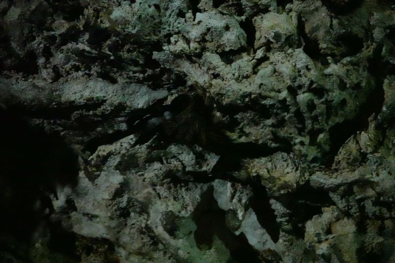 Viewing photos→2018→2018-09-03-1→69