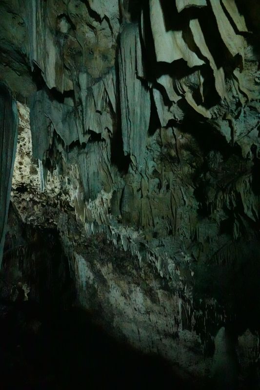 Viewing photos→2018→2018-09-03-1→73