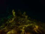 77.jpg - 2018:09:08 00:42:41