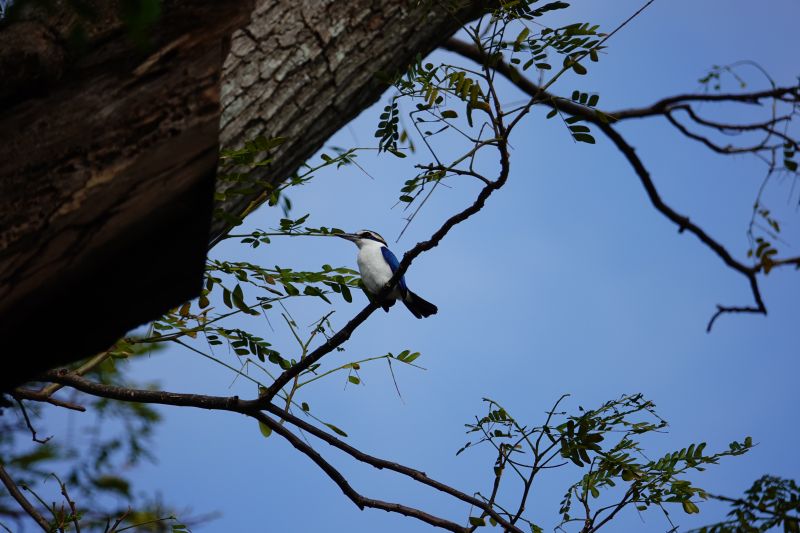 Viewing photos→2018→2018-09-03-2→04