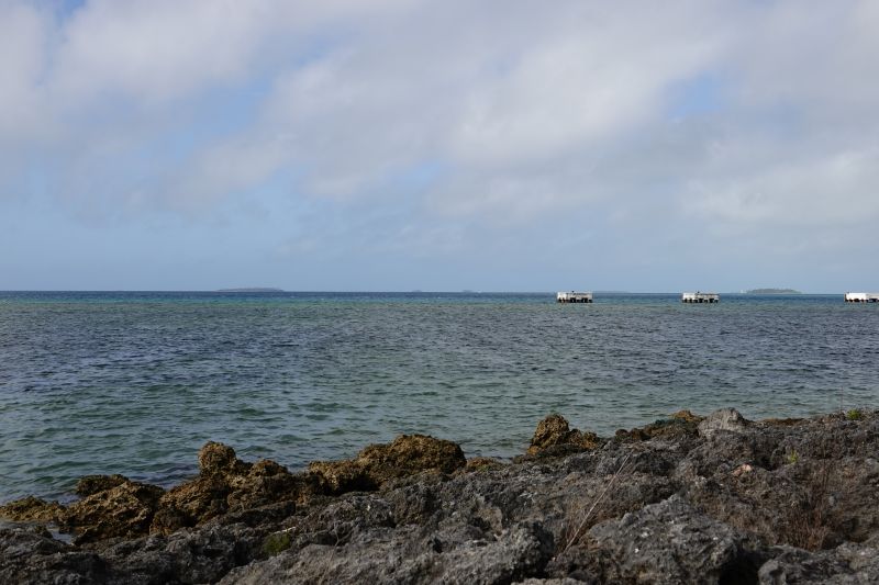 Viewing photos→2018→2018-09-03-2→09