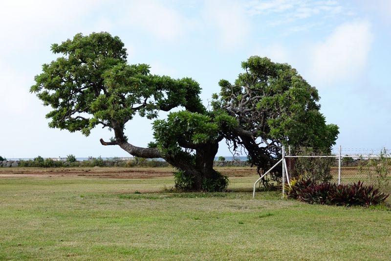 Viewing photos→2018→2018-09-03-2→10