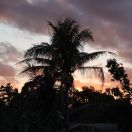 37.jpg - 2018:09:09 05:30:53