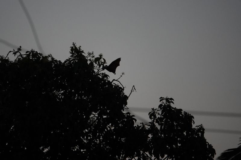 Viewing photos→2018→2018-09-03-2→38