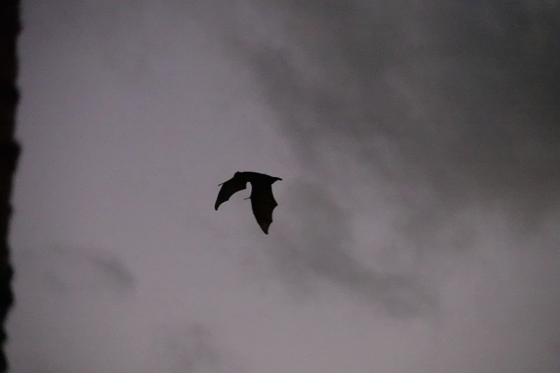 Viewing photos→2018→2018-09-03-2→41