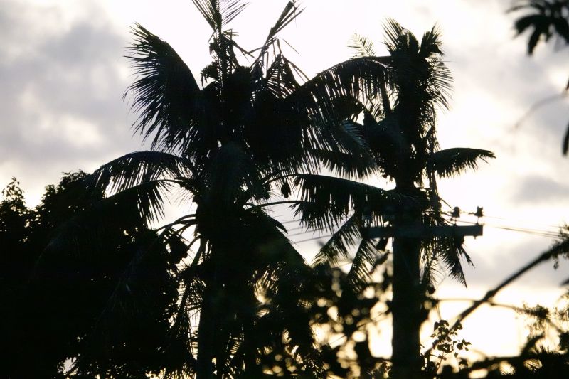 Viewing photos→2018→2018-09-03-2→42