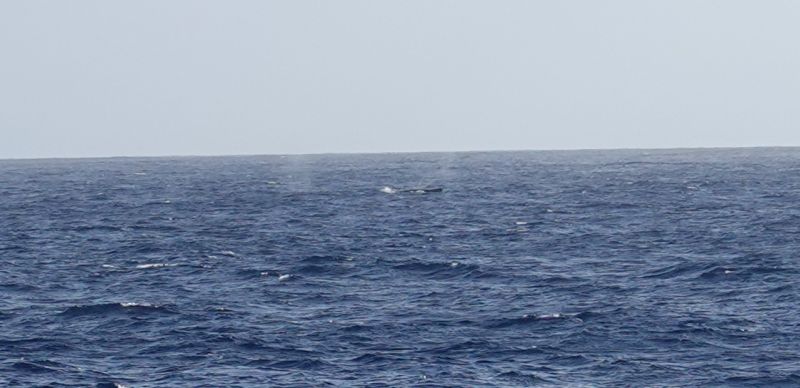 Viewing photos→2018→2018-09-04-0→001