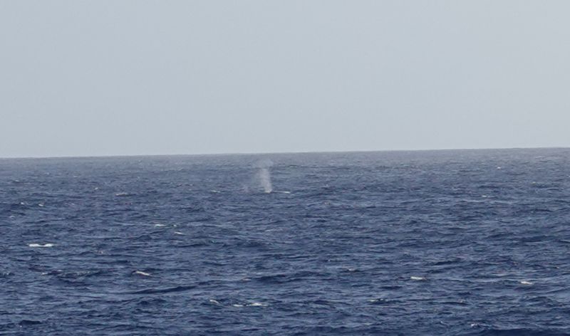 Viewing photos→2018→2018-09-04-0→002