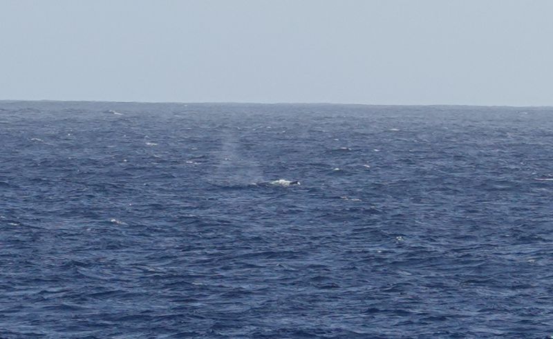 Viewing photos→2018→2018-09-04-0→003