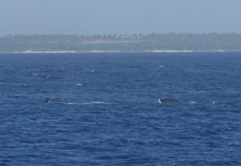 Viewing photos→2018→2018-09-04-0→005