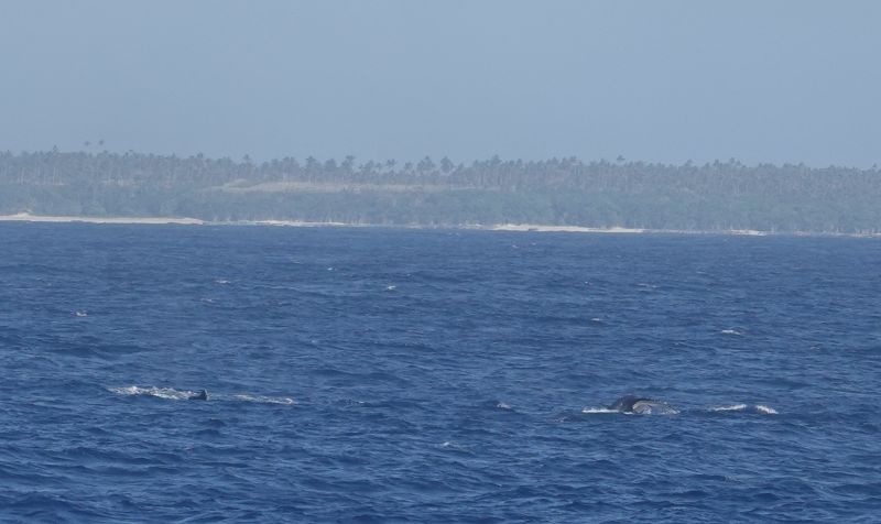 Viewing photos→2018→2018-09-04-0→006