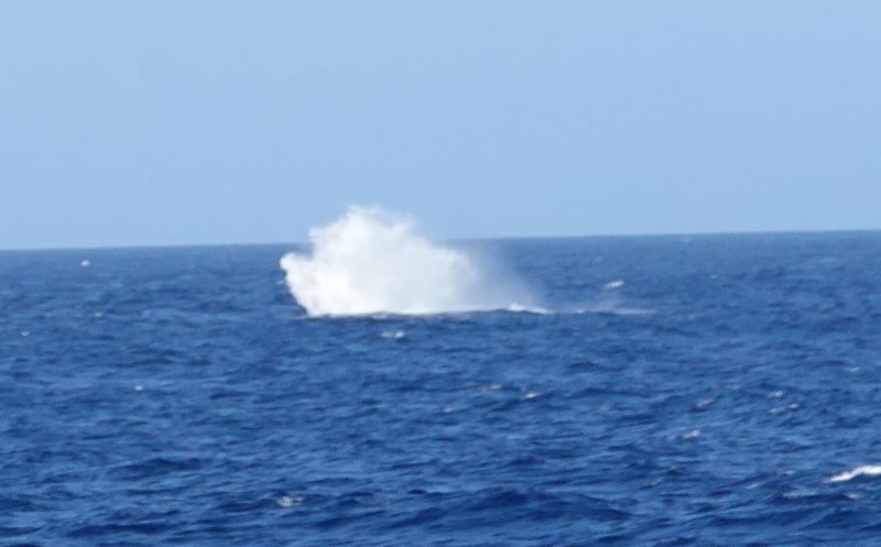 Viewing photos→2018→2018-09-04-0→008