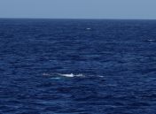 015.jpeg - 2018:09:03 20:21:18