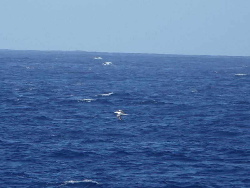 Viewing photos→2018→2018-09-04-0→016