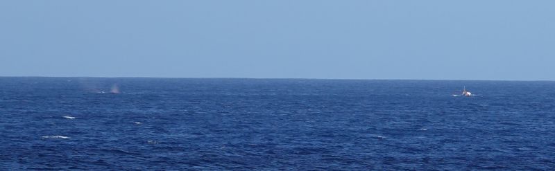 Viewing photos→2018→2018-09-04-0→018