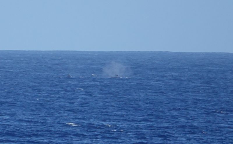 Viewing photos→2018→2018-09-04-0→019