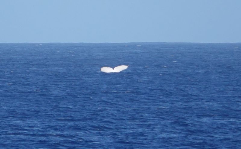 Viewing photos→2018→2018-09-04-0→021