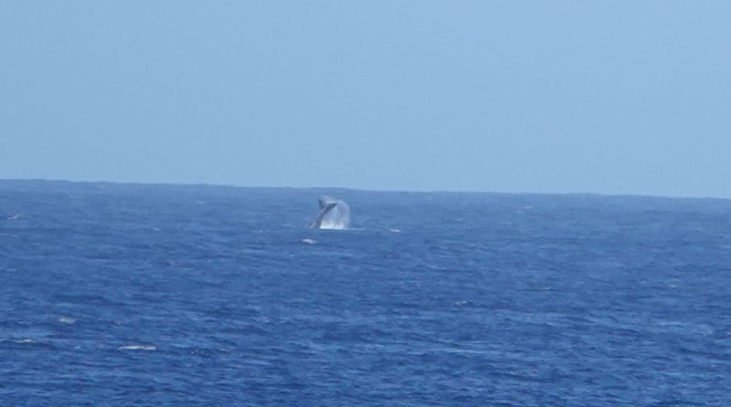 Viewing photos→2018→2018-09-04-0→022