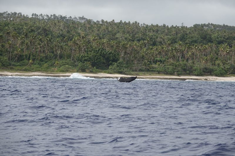 Viewing photos→2018→2018-09-04-0→025