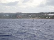 027.jpg - 2018:09:05 20:30:02