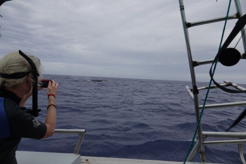 Viewing photos→2018→2018-09-04-0→029