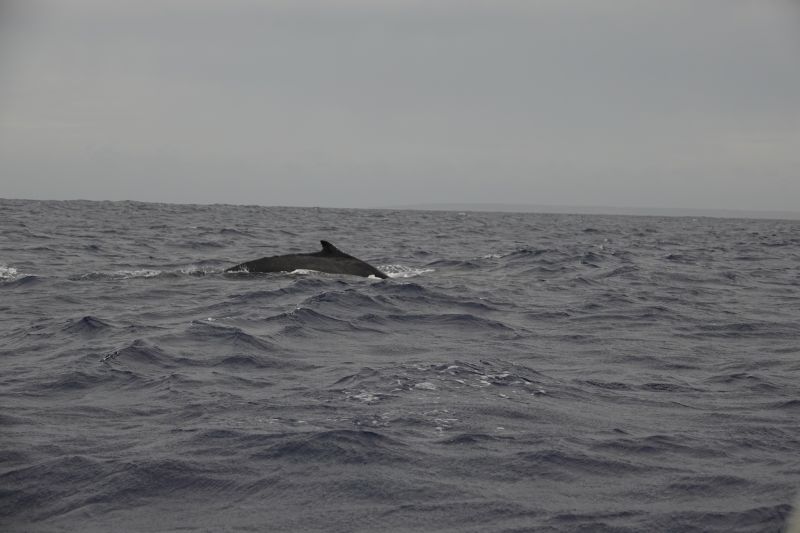 Viewing photos→2018→2018-09-04-0→031