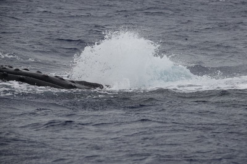 Viewing photos→2018→2018-09-04-0→037