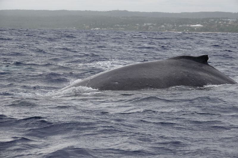 Viewing photos→2018→2018-09-04-0→040