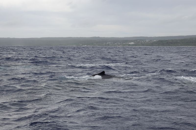 Viewing photos→2018→2018-09-04-0→041