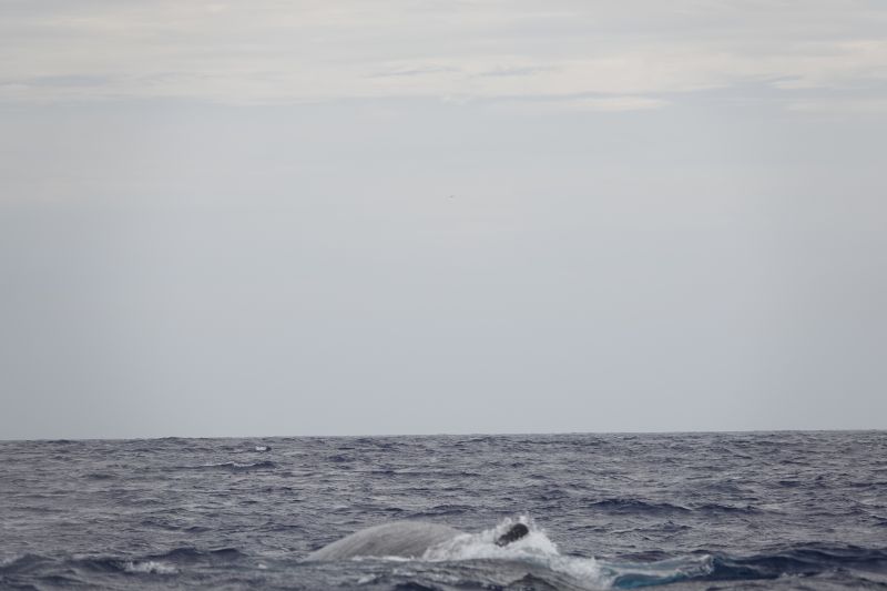 Viewing photos→2018→2018-09-04-0→046