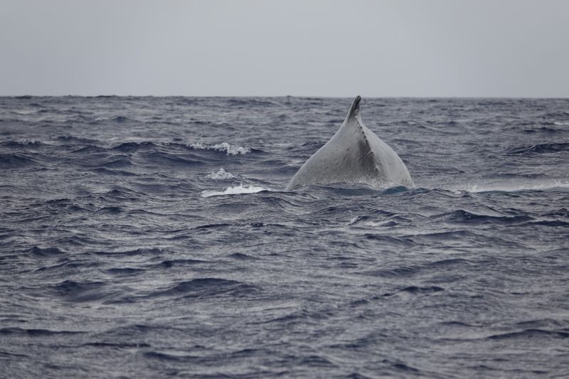 Viewing photos→2018→2018-09-04-0→048