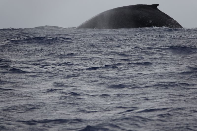 Viewing photos→2018→2018-09-04-0→049