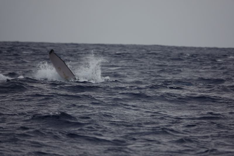 Viewing photos→2018→2018-09-04-0→053