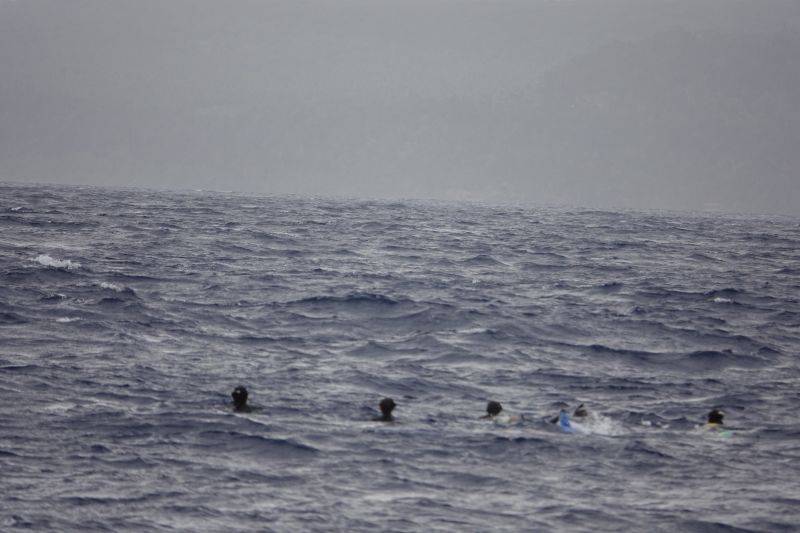 Viewing photos→2018→2018-09-04-0→057