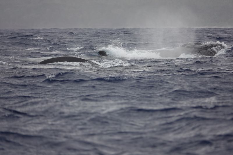 Viewing photos→2018→2018-09-04-0→059